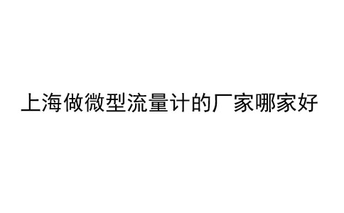 上海做微型流量计的厂家哪家好