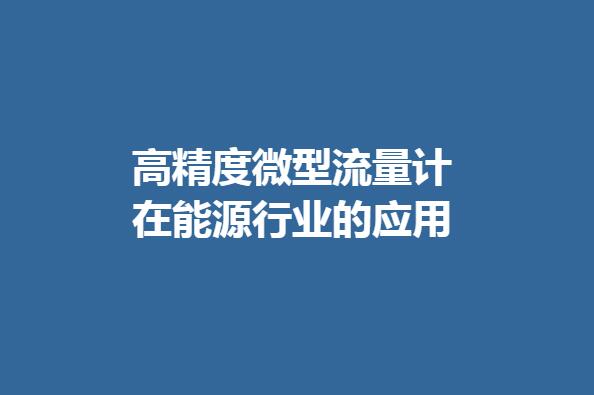 高精度微型流量计在能源行业的应用