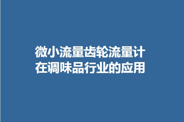 微小流量齿轮流量计在调味品行业的应用